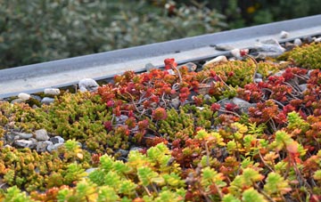 the cost of Chilcote green roof installation